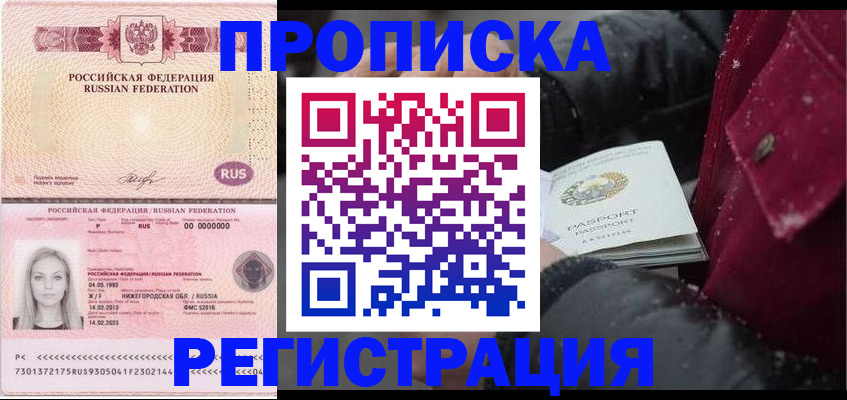 прописка для школы в Мончегорске